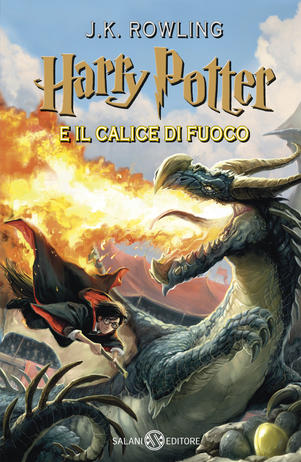 Harry Potter e il calice di fuoco (4)