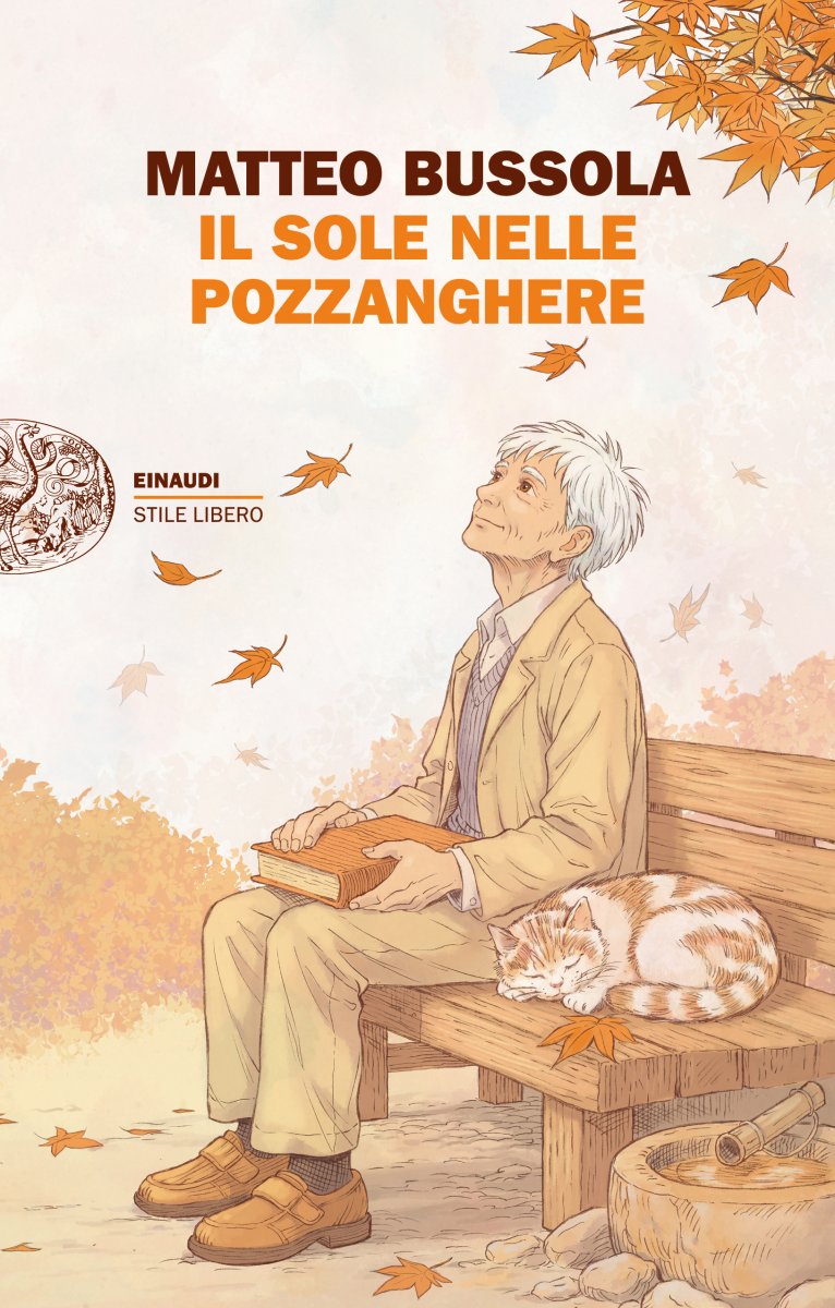 bussolone IL SOLE NELLE POZZANGHERE - presentazione 28/06/26 ore 11:00 - immagine 1